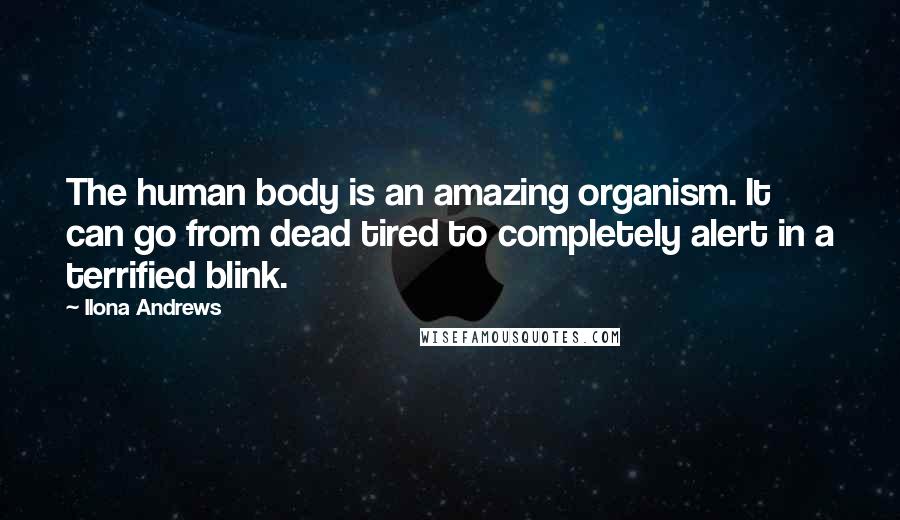 Ilona Andrews Quotes: The human body is an amazing organism. It can go from dead tired to completely alert in a terrified blink.