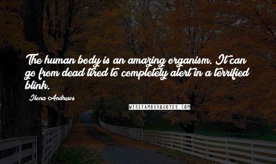 Ilona Andrews Quotes: The human body is an amazing organism. It can go from dead tired to completely alert in a terrified blink.