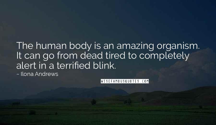 Ilona Andrews Quotes: The human body is an amazing organism. It can go from dead tired to completely alert in a terrified blink.