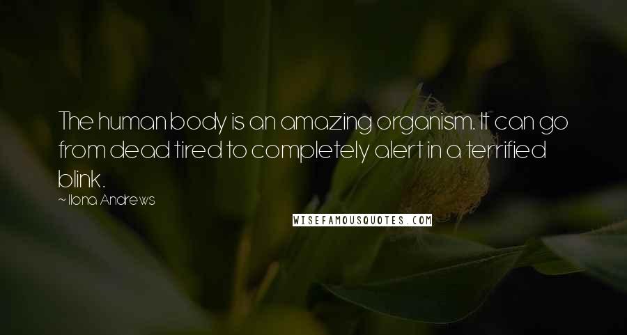 Ilona Andrews Quotes: The human body is an amazing organism. It can go from dead tired to completely alert in a terrified blink.