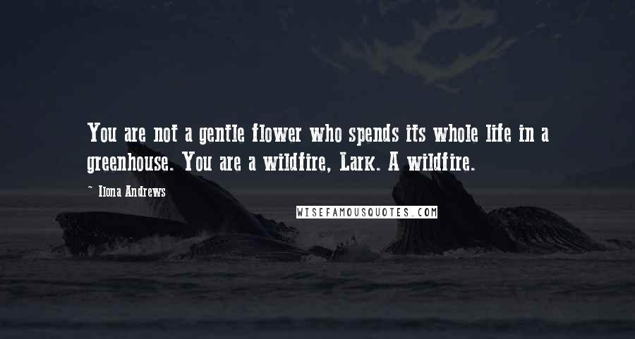 Ilona Andrews Quotes: You are not a gentle flower who spends its whole life in a greenhouse. You are a wildfire, Lark. A wildfire.