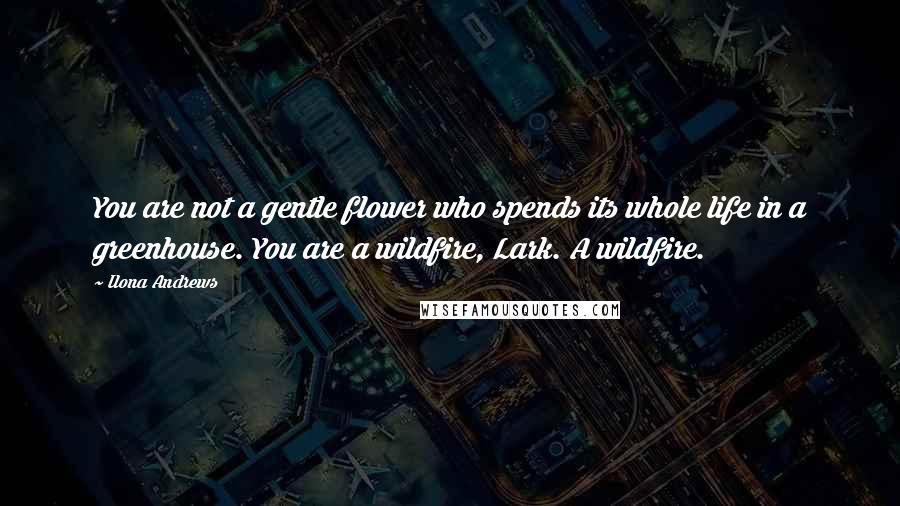 Ilona Andrews Quotes: You are not a gentle flower who spends its whole life in a greenhouse. You are a wildfire, Lark. A wildfire.