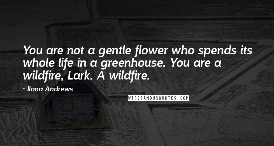 Ilona Andrews Quotes: You are not a gentle flower who spends its whole life in a greenhouse. You are a wildfire, Lark. A wildfire.