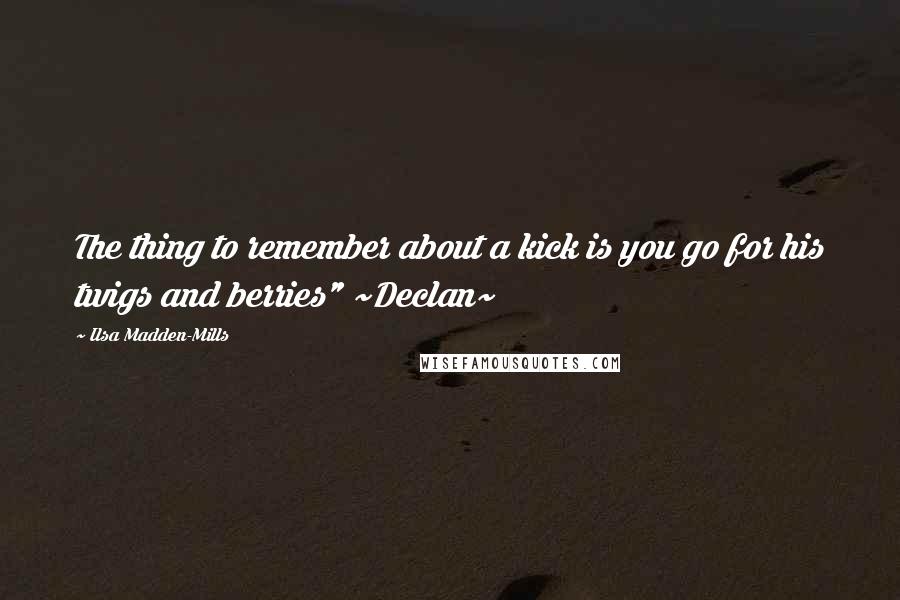 Ilsa Madden-Mills Quotes: The thing to remember about a kick is you go for his twigs and berries" ~Declan~