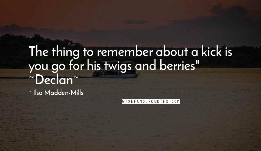 Ilsa Madden-Mills Quotes: The thing to remember about a kick is you go for his twigs and berries" ~Declan~
