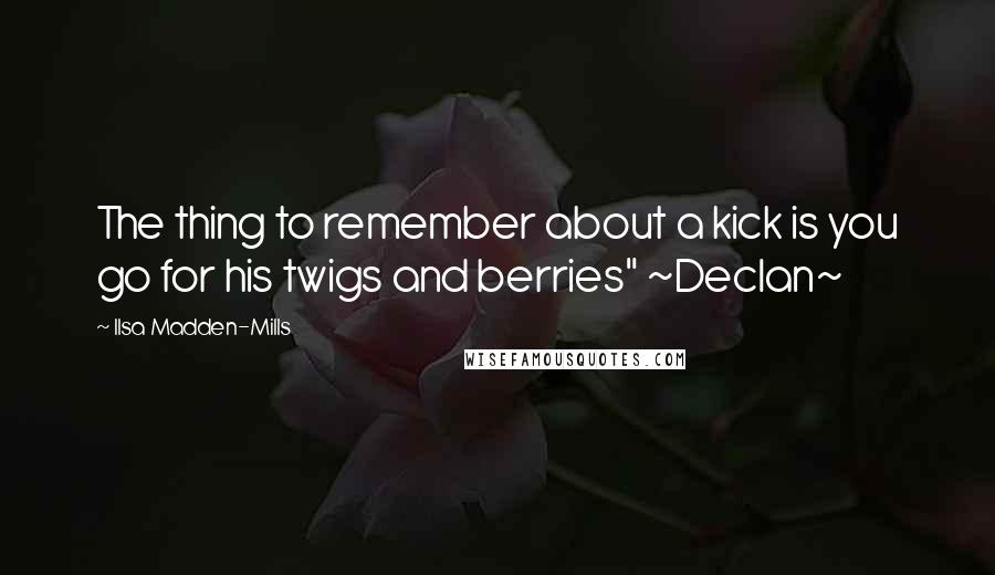 Ilsa Madden-Mills Quotes: The thing to remember about a kick is you go for his twigs and berries" ~Declan~