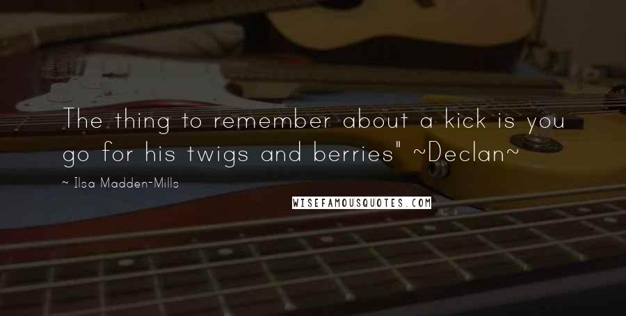 Ilsa Madden-Mills Quotes: The thing to remember about a kick is you go for his twigs and berries" ~Declan~