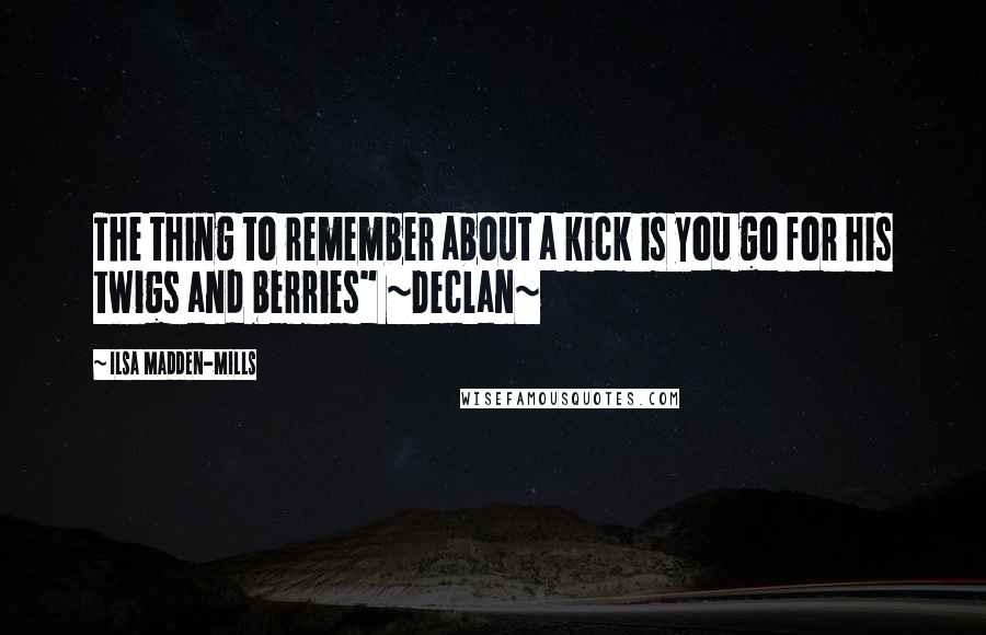 Ilsa Madden-Mills Quotes: The thing to remember about a kick is you go for his twigs and berries" ~Declan~