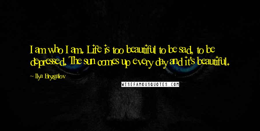 Ilya Bryzgalov Quotes: I am who I am. Life is too beautiful to be sad, to be depressed. The sun comes up every day and it's beautiful.