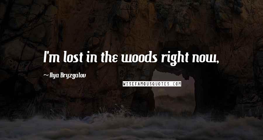 Ilya Bryzgalov Quotes: I'm lost in the woods right now,