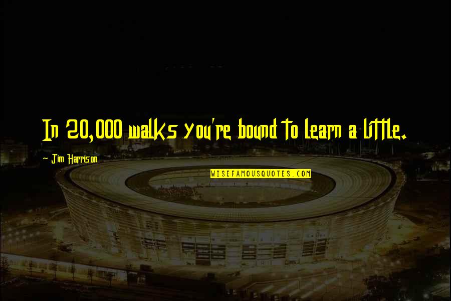 000 Quotes By Jim Harrison: In 20,000 walks you're bound to learn a