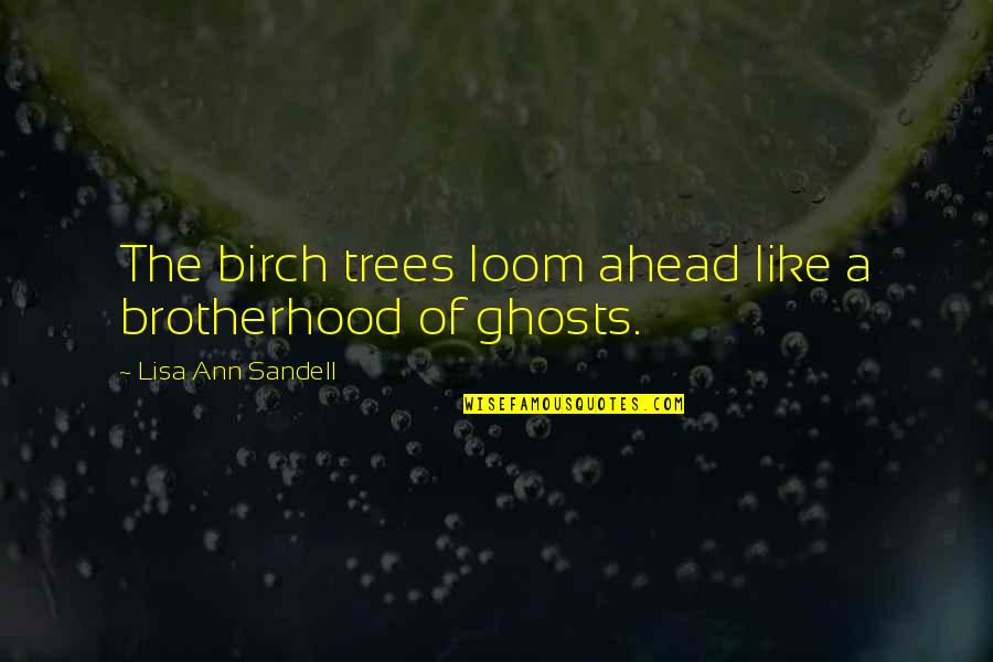 00pm1262 Quotes By Lisa Ann Sandell: The birch trees loom ahead like a brotherhood 00pm1262 Quotes By Lisa Ann Sandell: The birch trees loom ahead like a brotherhood