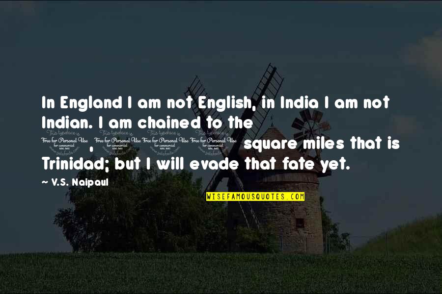 1 Am Quotes By V.S. Naipaul: In England I am not English, in India