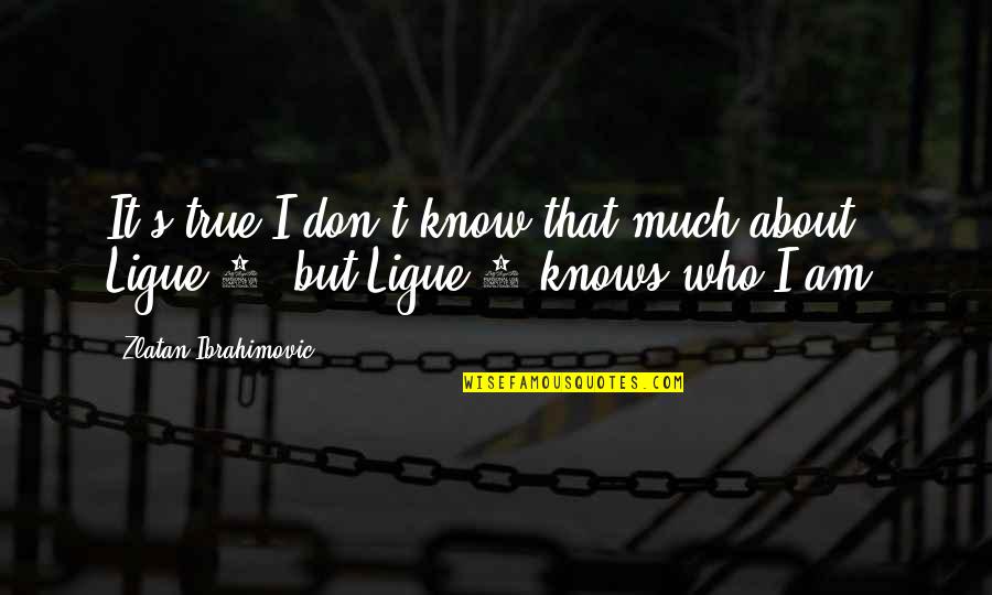1 Am Quotes By Zlatan Ibrahimovic: It's true I don't know that much about
