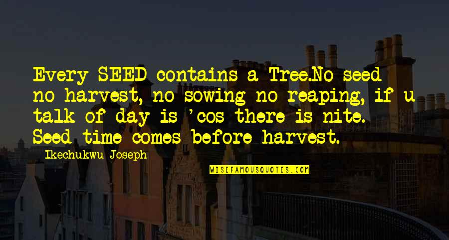1 Day At A Time Quotes By Ikechukwu Joseph: Every SEED contains a Tree.No seed no harvest,