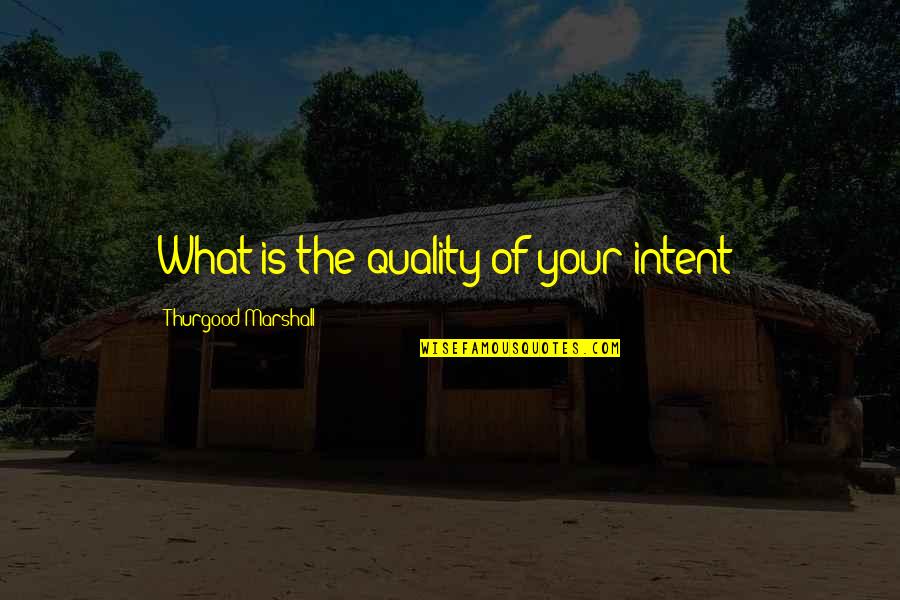 1 Iron Quote Quotes By Thurgood Marshall: What is the quality of your intent?