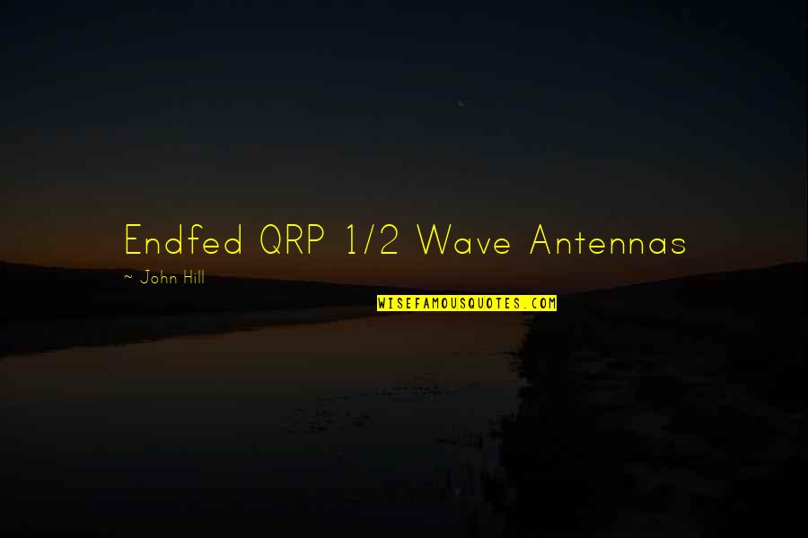1 John 1 Quotes By John Hill: Endfed QRP 1/2 Wave Antennas