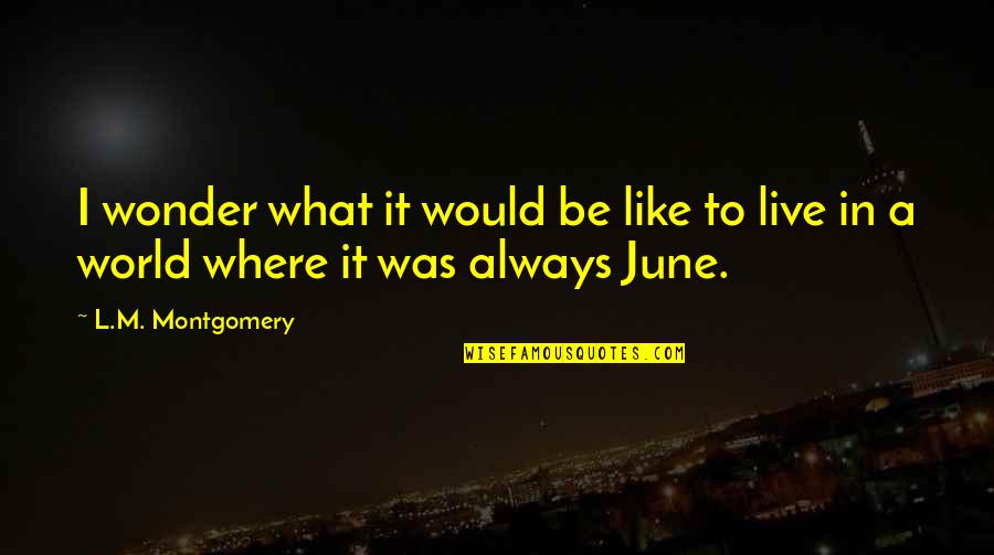 1 June Quotes By L.M. Montgomery: I wonder what it would be like to