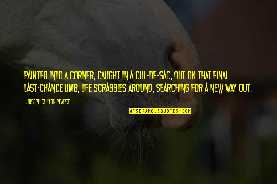 1 Last Chance Quotes By Joseph Chilton Pearce: Painted into a corner, caught in a cul-de-sac, 1 Last Chance Quotes By Joseph Chilton Pearce: Painted into a corner, caught in a cul-de-sac,