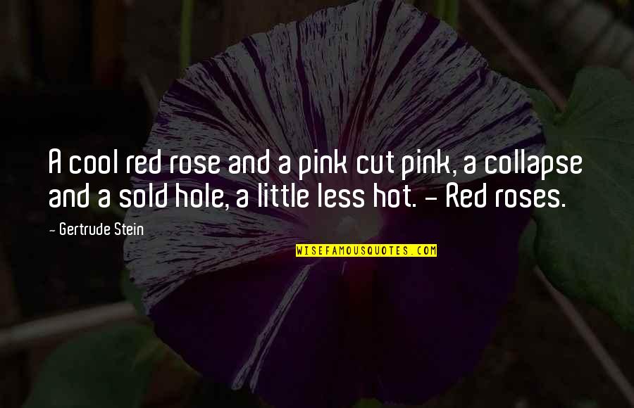 1 Red Rose Quotes By Gertrude Stein: A cool red rose and a pink cut