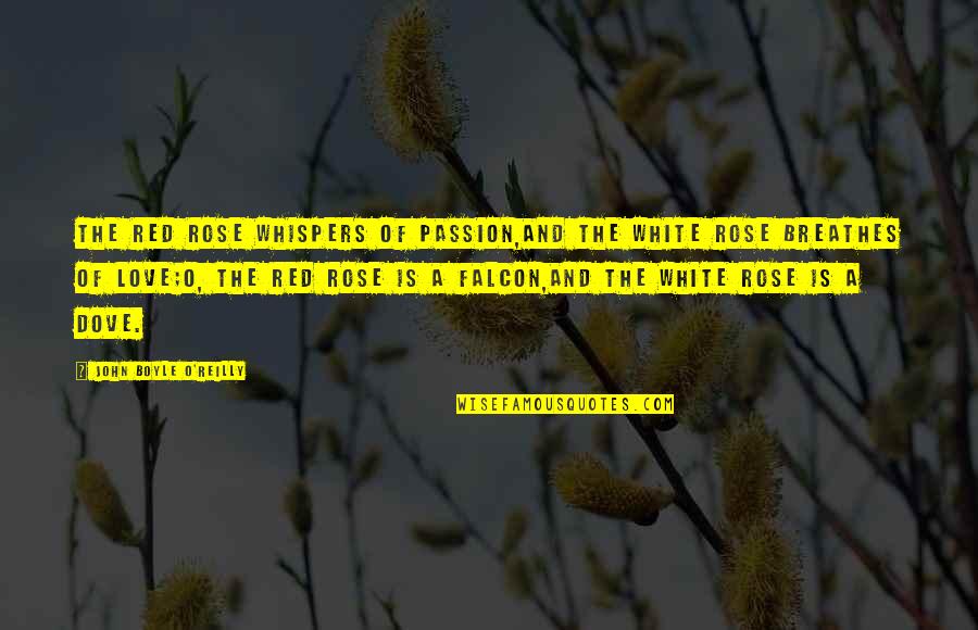 1 Red Rose Quotes By John Boyle O'Reilly: The red rose whispers of passion,And the white