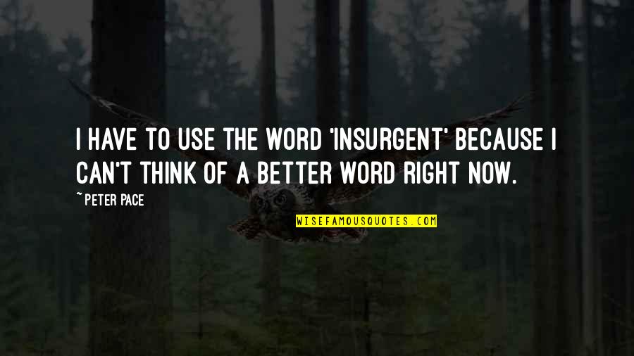 1 Word Quotes By Peter Pace: I have to use the word 'insurgent' because