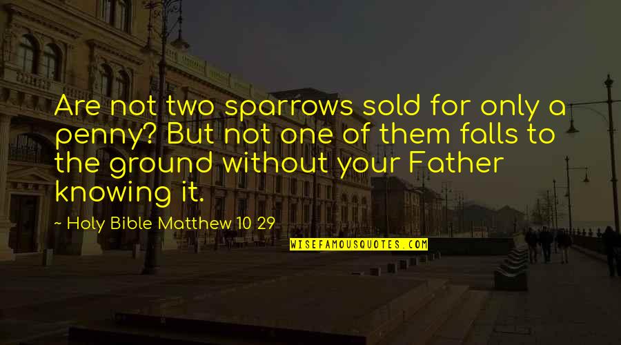 10 God Quotes By Holy Bible Matthew 10 29: Are not two sparrows sold for only a