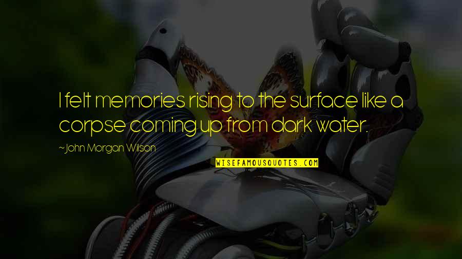 10 Maanden Quotes By John Morgan Wilson: I felt memories rising to the surface like 10 Maanden Quotes By John Morgan Wilson: I felt memories rising to the surface like