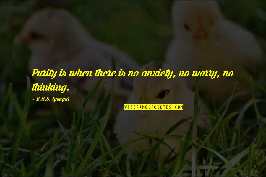 10 Year Old Boy Quotes By B.K.S. Iyengar: Purity is when there is no anxiety, no 10 Year Old Boy Quotes By B.K.S. Iyengar: Purity is when there is no anxiety, no
