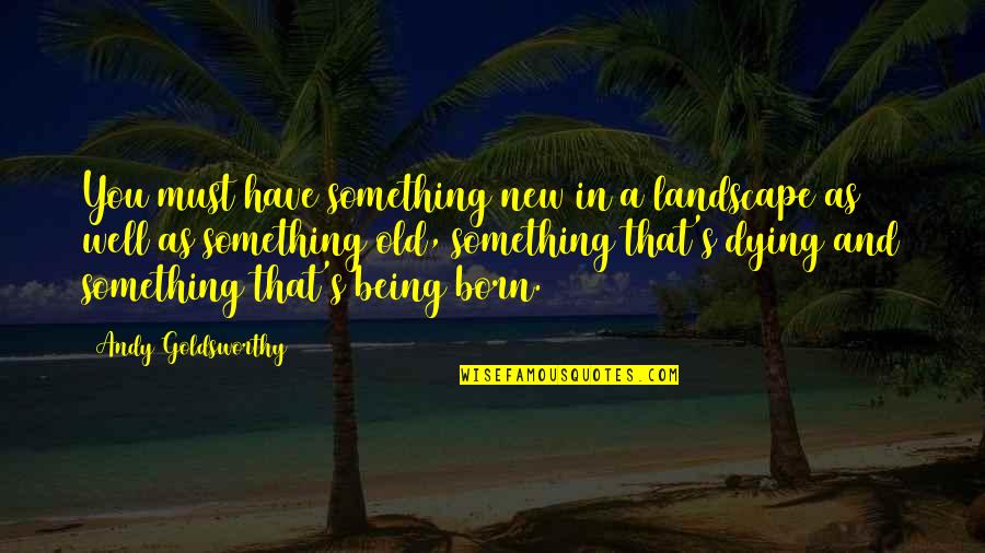 10 Years Service Quotes By Andy Goldsworthy: You must have something new in a landscape