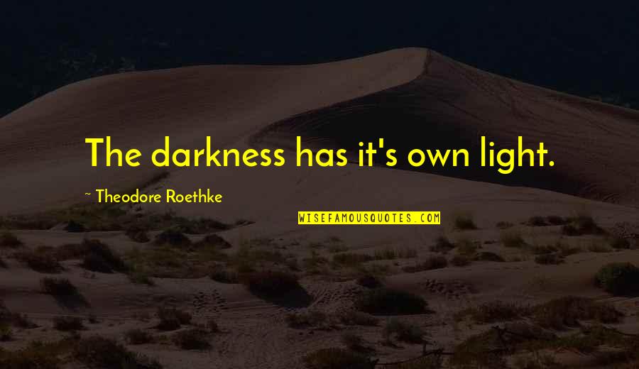 100 Percent Of The Time Quotes By Theodore Roethke: The darkness has it's own light.
