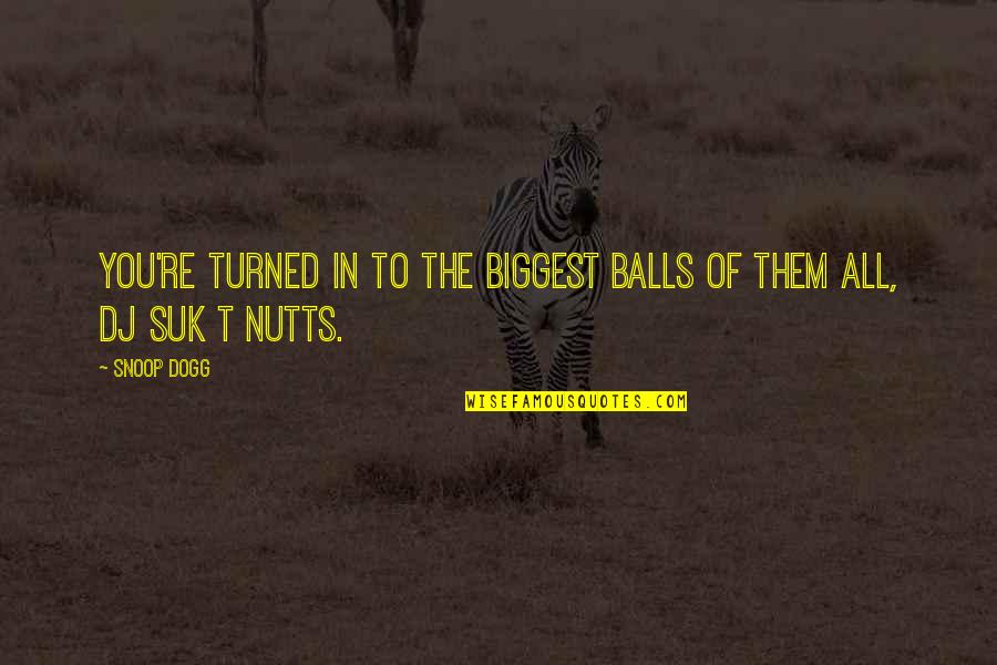 1000 Gifts Quotes By Snoop Dogg: You're turned in to the biggest balls of