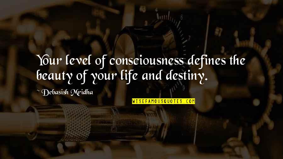 100mph Rc Quotes By Debasish Mridha: Your level of consciousness defines the beauty of