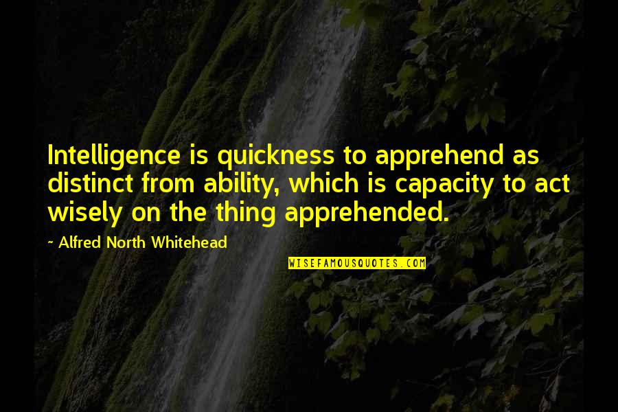 101 Manliest Movie Quotes By Alfred North Whitehead: Intelligence is quickness to apprehend as distinct from