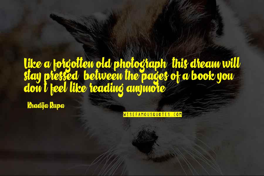 105th Indy Quotes By Khadija Rupa: Like a forgotten old photograph, this dream will 105th Indy Quotes By Khadija Rupa: Like a forgotten old photograph, this dream will