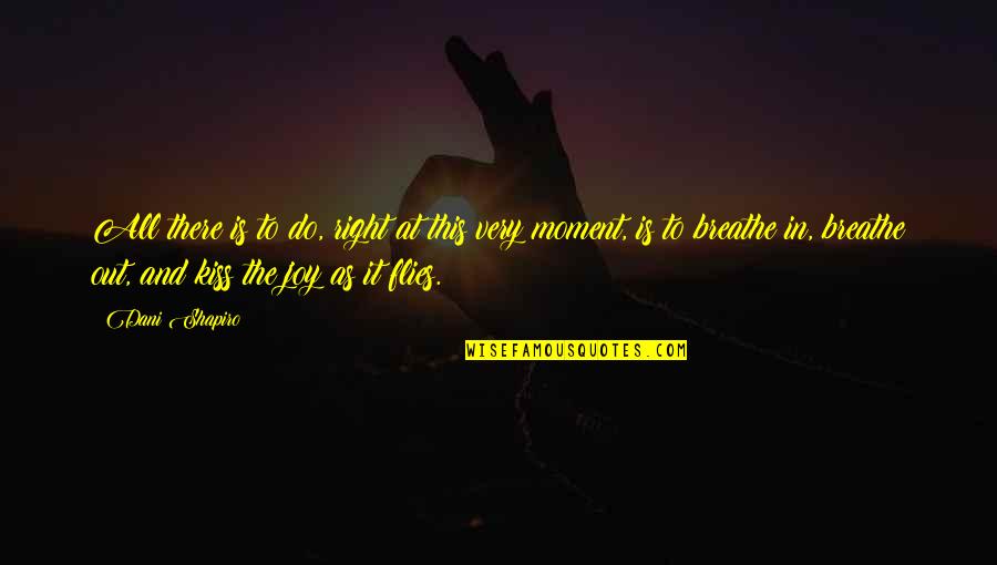 10875 Quotes By Dani Shapiro: All there is to do, right at this 10875 Quotes By Dani Shapiro: All there is to do, right at this