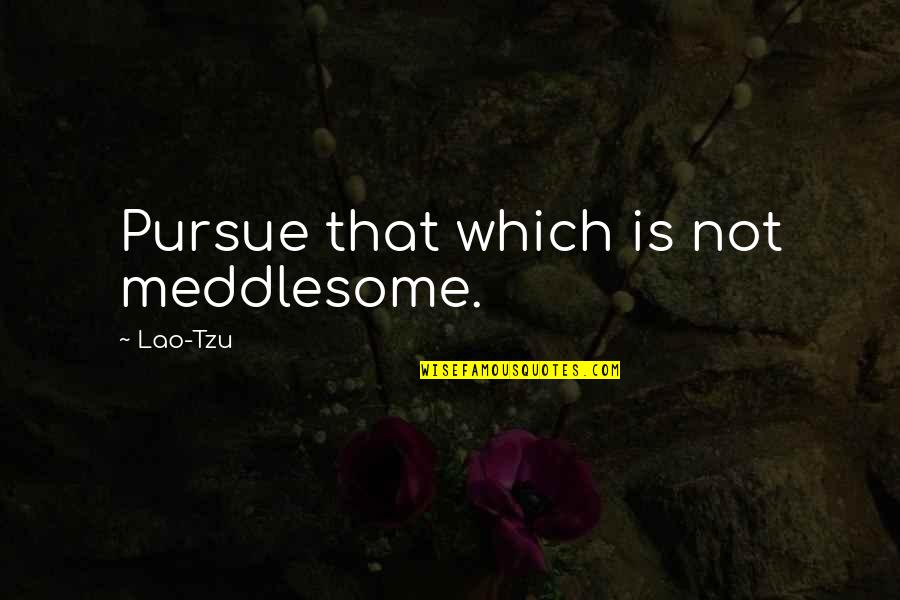 11001010 Quotes By Lao-Tzu: Pursue that which is not meddlesome.