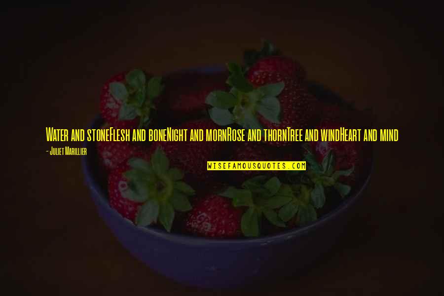 11392930 Quotes By Juliet Marillier: Water and stoneFlesh and boneNight and mornRose and 11392930 Quotes By Juliet Marillier: Water and stoneFlesh and boneNight and mornRose and