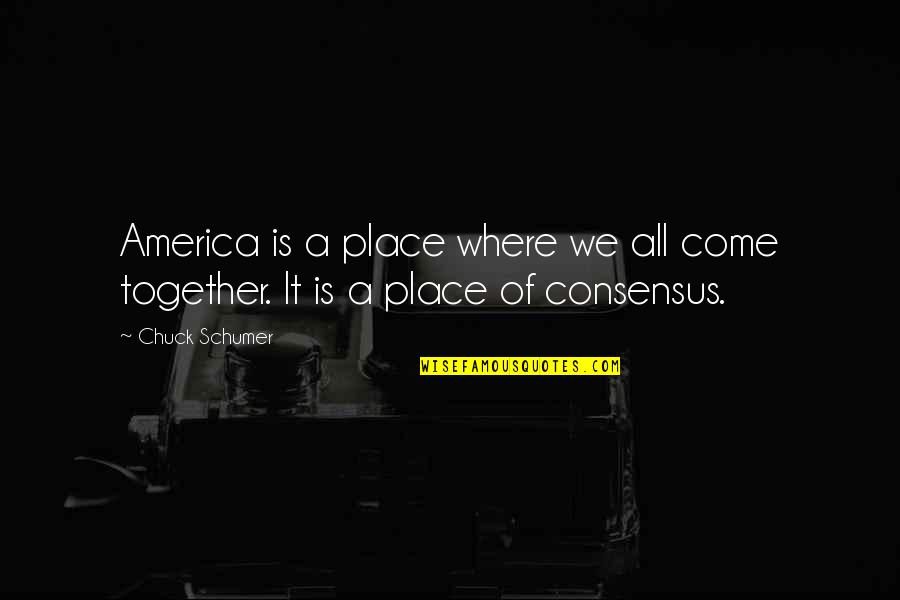 1158 Bulb Quotes By Chuck Schumer: America is a place where we all come