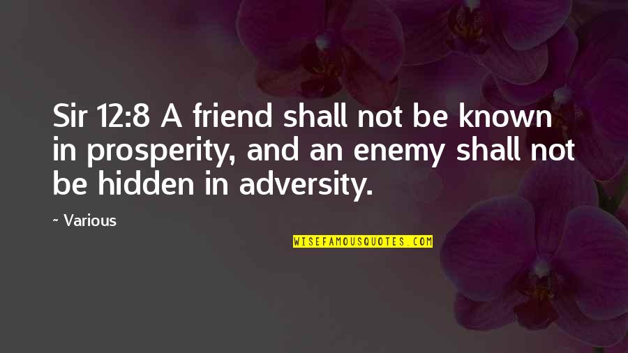 12 Not Quotes By Various: Sir 12:8 A friend shall not be known 12 Not Quotes By Various: Sir 12:8 A friend shall not be known