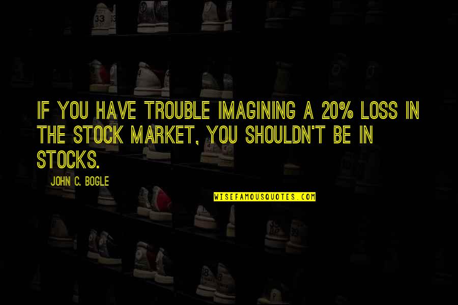 12134 Quotes By John C. Bogle: If you have trouble imagining a 20% loss