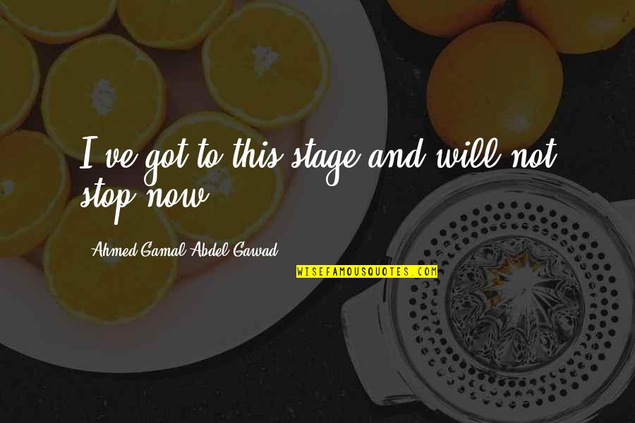 1222 Spiritual Quotes By Ahmed Gamal Abdel Gawad: I've got to this stage and will not