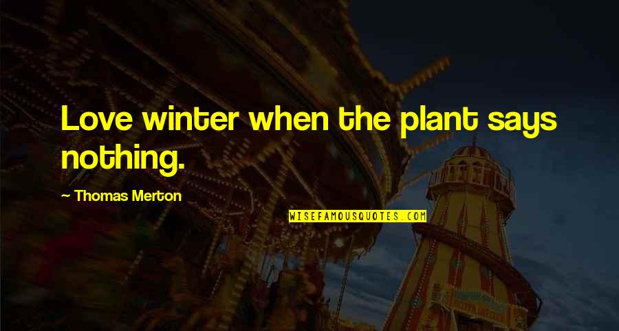 12334 Quotes By Thomas Merton: Love winter when the plant says nothing.