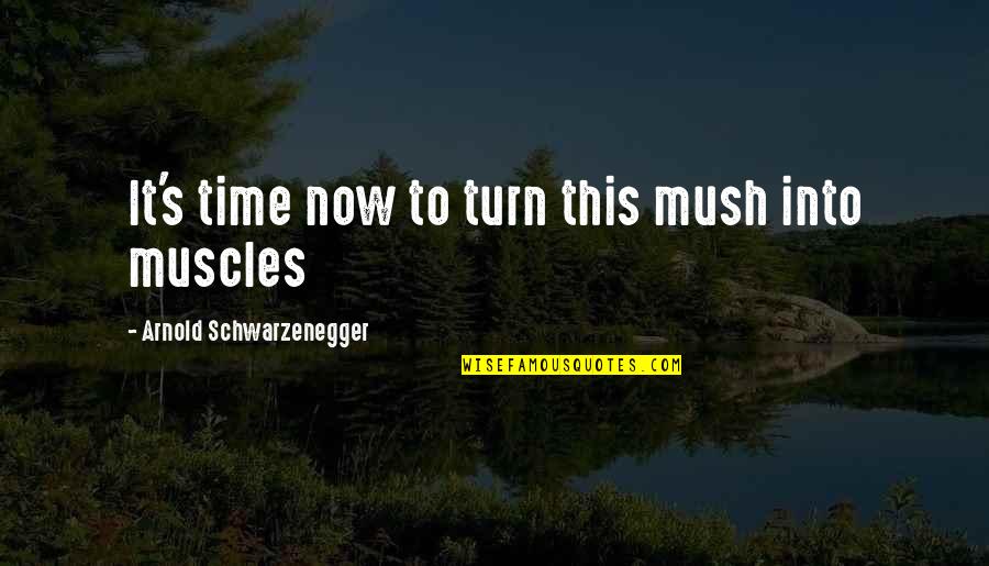 123greetings Love Quotes By Arnold Schwarzenegger: It's time now to turn this mush into