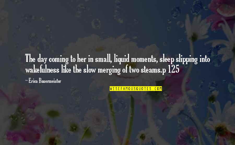 125 Quotes By Erica Bauermeister: The day coming to her in small, liquid