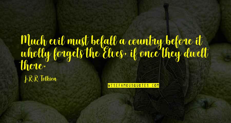 12542 Quotes By J.R.R. Tolkien: Much evil must befall a country before it