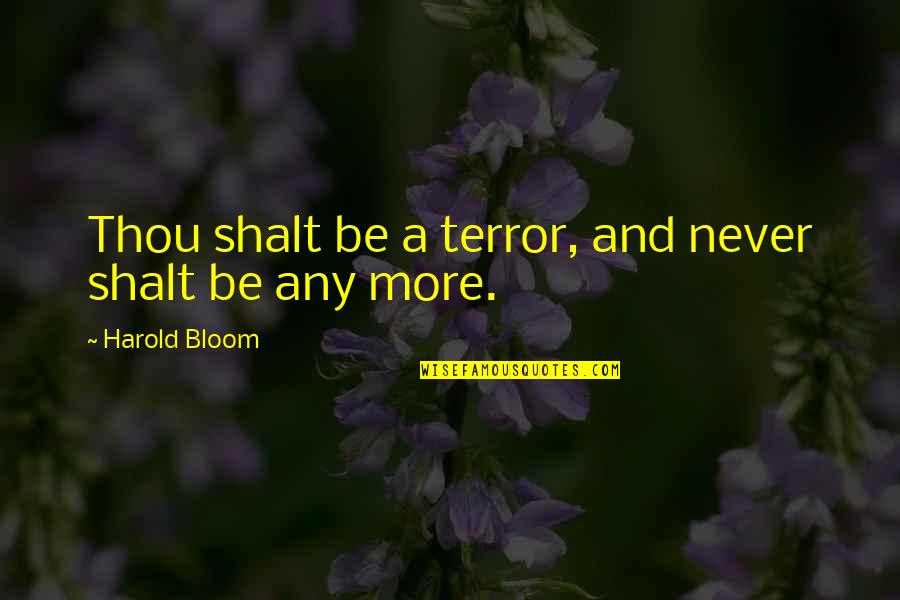 13 Eerie Quotes By Harold Bloom: Thou shalt be a terror, and never shalt