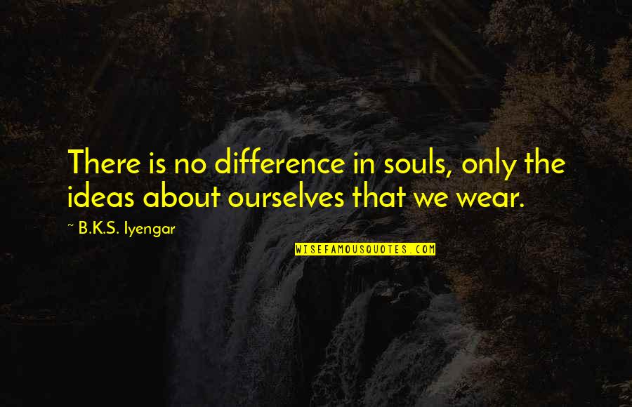 1381 Wordscapes Quotes By B.K.S. Iyengar: There is no difference in souls, only the