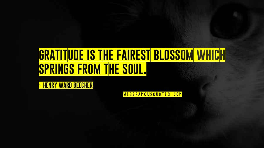13godgame Quotes By Henry Ward Beecher: Gratitude is the fairest blossom which springs from 13godgame Quotes By Henry Ward Beecher: Gratitude is the fairest blossom which springs from