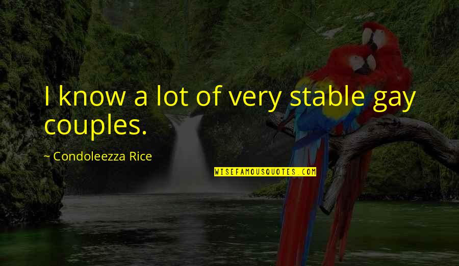 14 Year Old Birthday Quotes By Condoleezza Rice: I know a lot of very stable gay